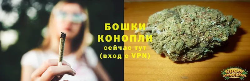 Шишки марихуана OG Kush  Балтийск 